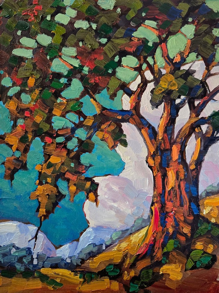 Colorist Original Signed Large Painting Impressionism Tree Clouds Western Artist