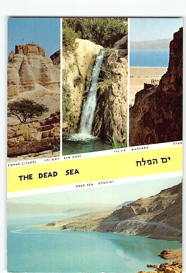 Postcard The Dead Sea