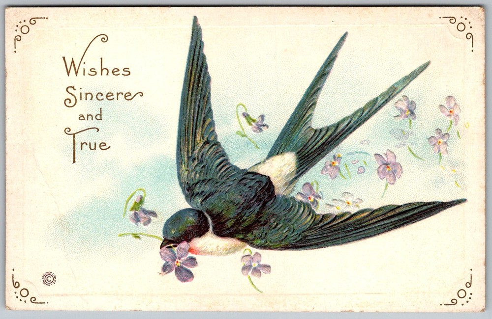 Antique Postcard Swallow Violets Goshen, 1910s