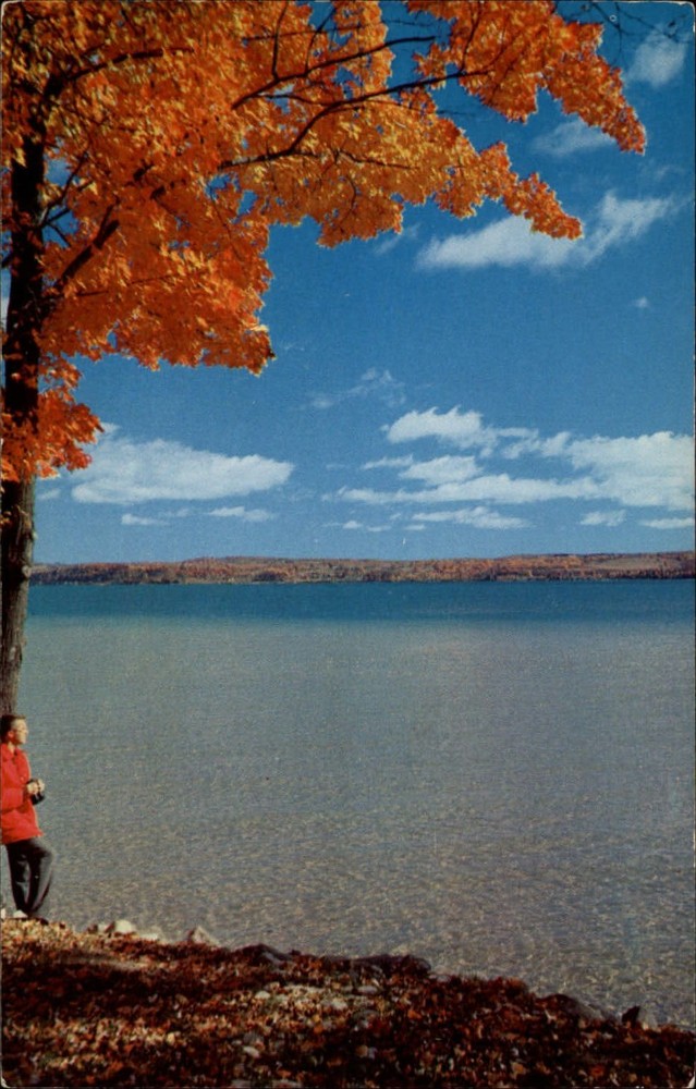 Michigan lake autumn splendor ~ 1950s-60s vintage postcard sku381