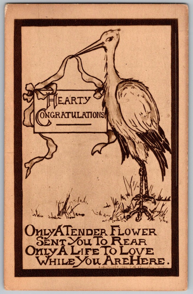 Antique Postcard Hearty Stork Congratulations Greeting 1910s