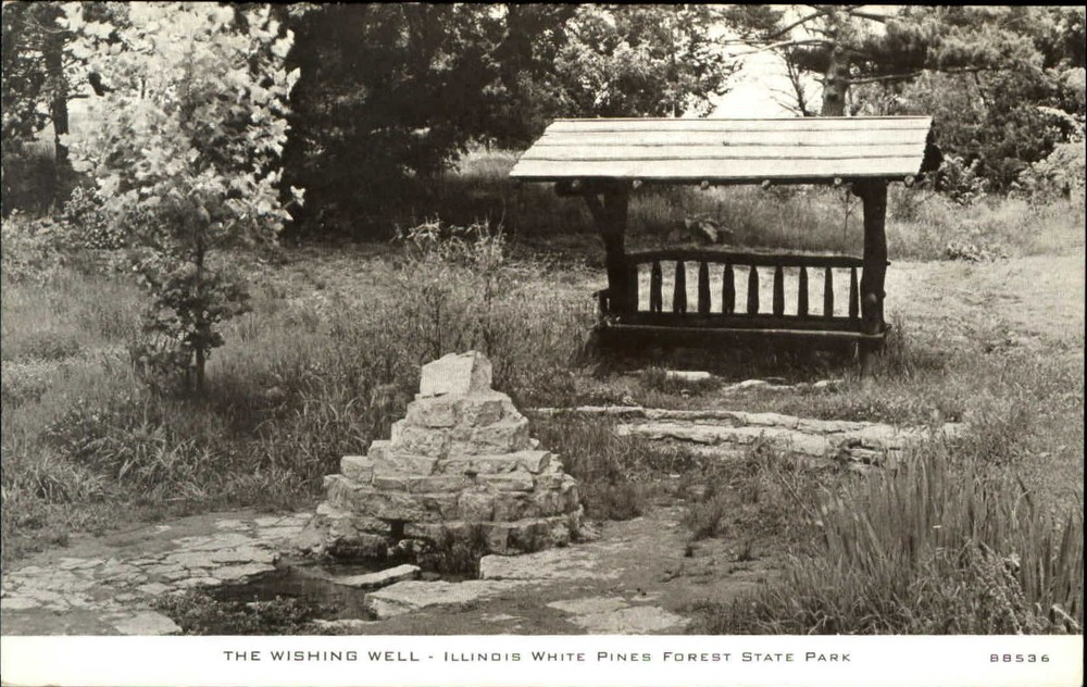 Illinois White Pines Forest State Park Wishing Well camera study CR Childs