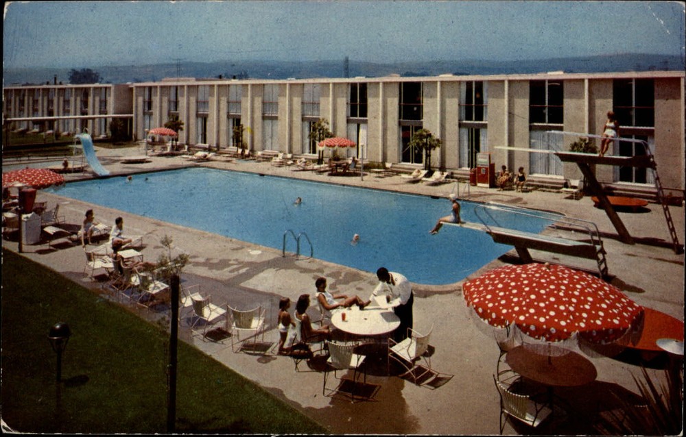 San Francisco California Hilton Inn swimming pool dining tiger on back postcard