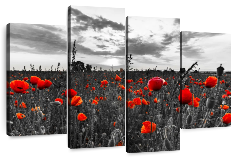 Poppy Field At Dusk Pop Wall Art