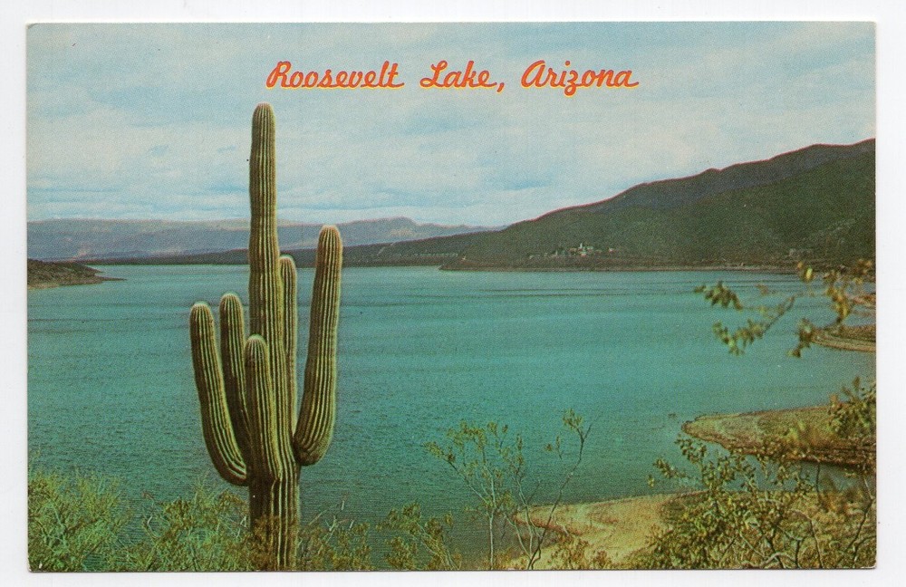 1960s? Chrome - CLOSEOUT - Roosevelt Lake from US Hwy 88 - Arizona
