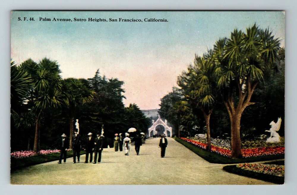 San Francisco CA-California, Palm Avenue, Sutro Heights, Vintage Postcard