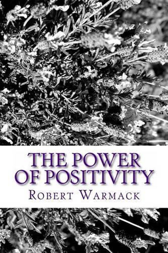 The Power of Positivity: A Successful Young Adult's Approach to a Fulfilling and