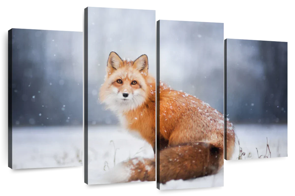 Little Red Fox Portrait Wall Art