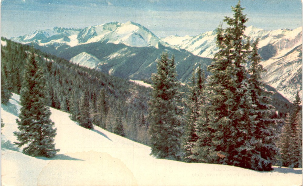 Evergreens, Snow, Mountains, Denver, Lakewood, Cooper Postcard Co. Postcard