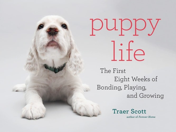 Puppy Life: The First Eight Weeks of Bonding, Playing, and Growing by Scott, Tra