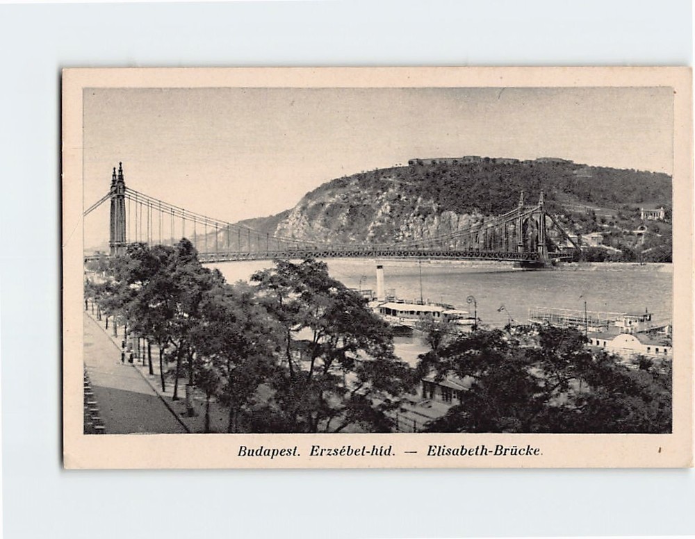 Postcard The Elisabeth Bridge Budapest Hungary