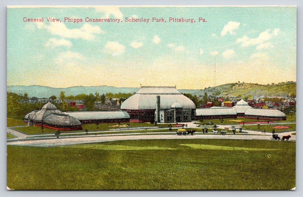 Pittsburgh PA~Schenley Park~Phipps Conservatory General View~Carriage~c1910 PC