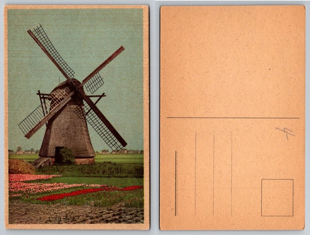Vintage Windmill Tulip Fields Postcard Holland Netherlands Farm Scenic