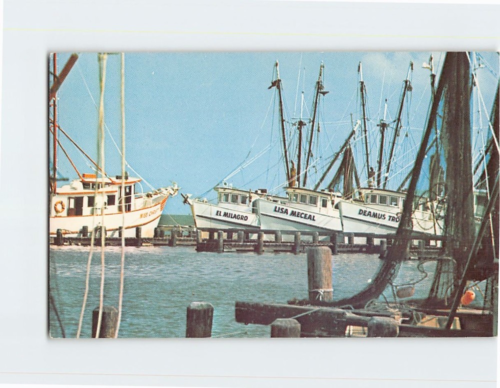 Postcard Shrimp Boat Fleet Along the Gulf Coast of Texas USA