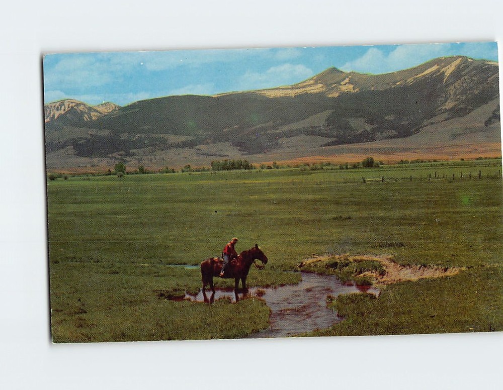 Postcard Mt. Powell near Deer Lodge Montana USA