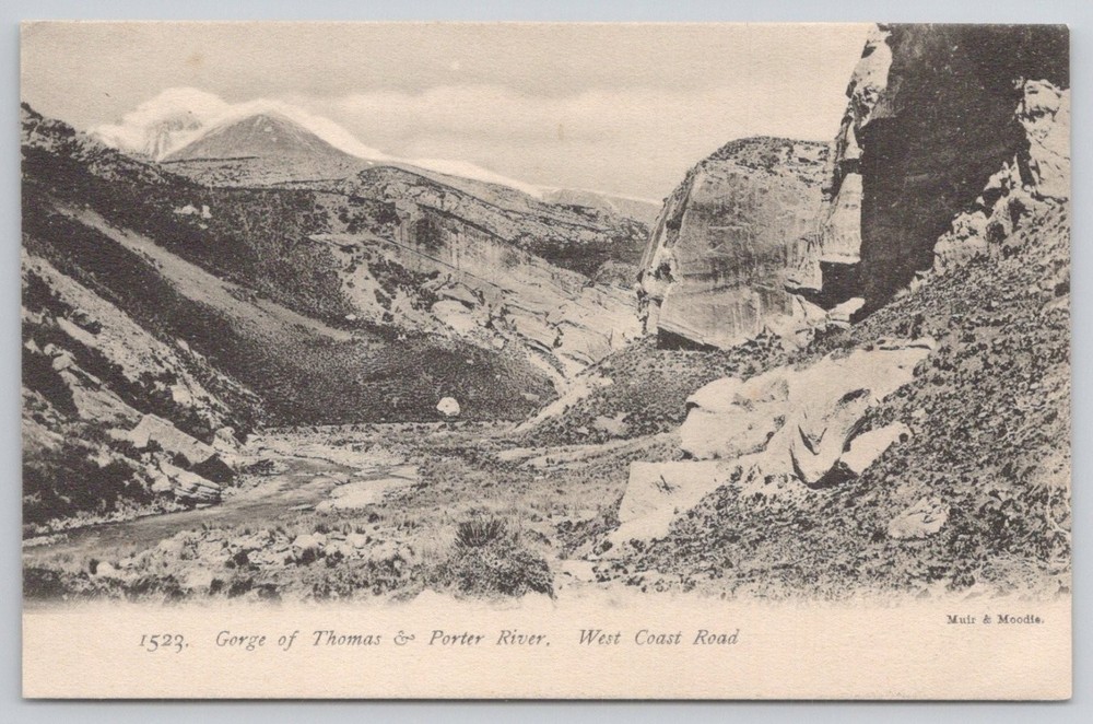 Muir & Moodie NEW ZEALAND Gorge Thomas & Porter River Postcard c1910