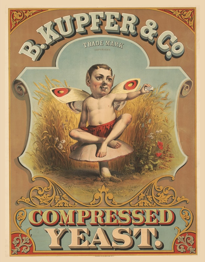 9646.Decoration Poster.Room Wall art.Home decor.Victorian Ugliest Fairy.Yeast ad