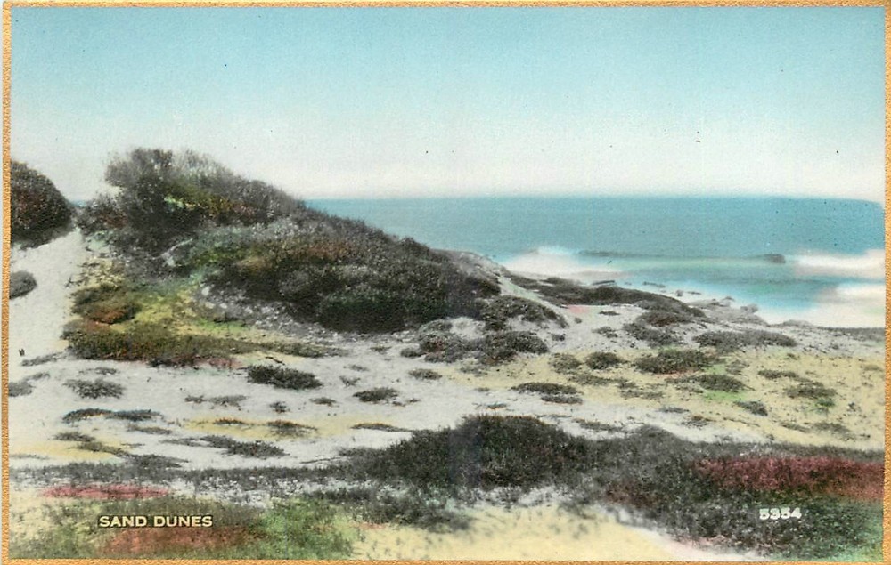 1920s California Sand Dunes Hand Colored #5354 Martin RPPC Postcard 26-3425