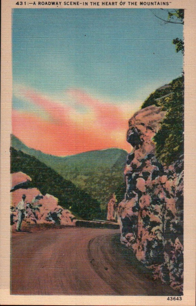 Roadway Scene in the Heart of the Mountains, Old Standard Vintage Linen Postcard