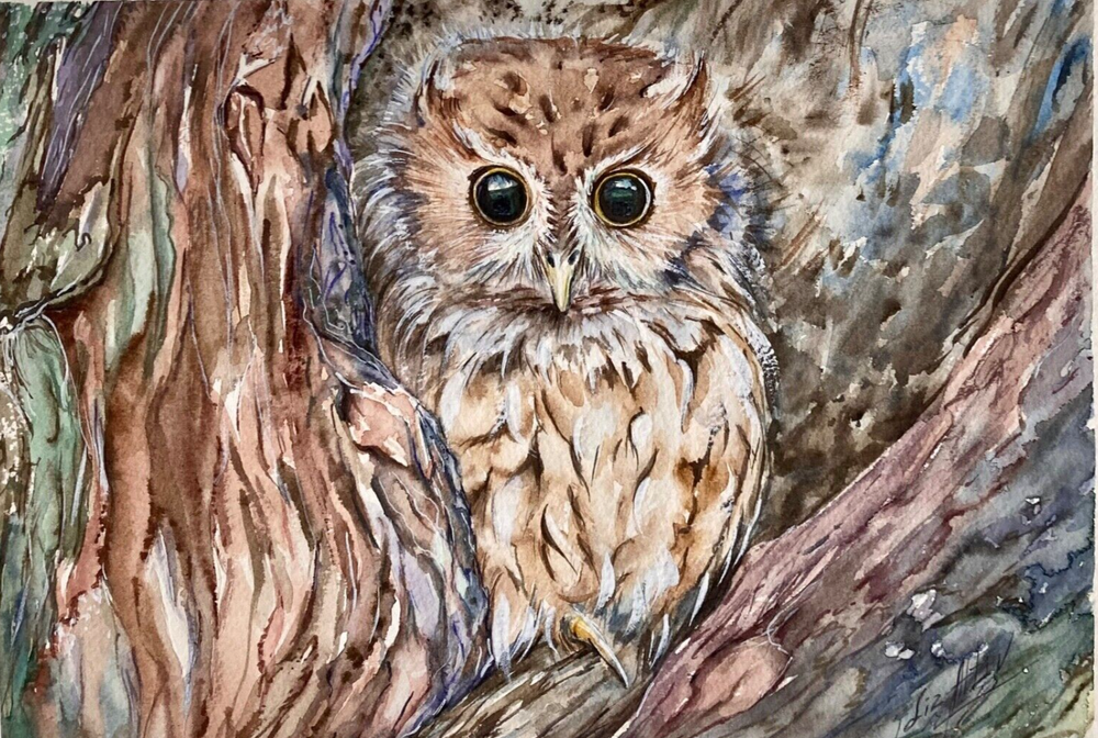 Owl  Bird Owl Tree  Watercolor Original Painting