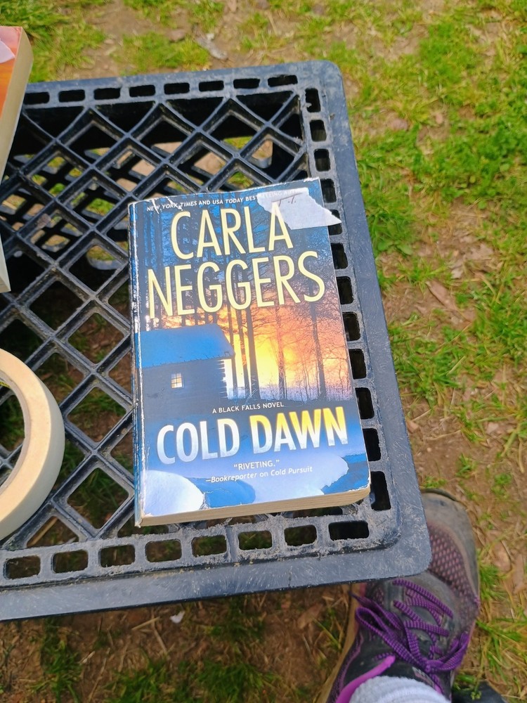 Carla Neggers Cold Dawn Suspense Fiction Paperback Novel for Adults Black Falls