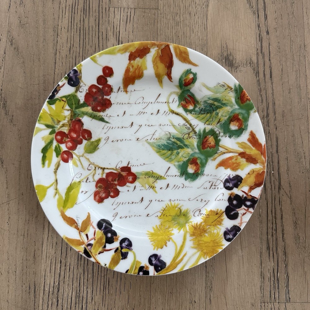 Williams Sonoma Bernardaud France Harvest Berry Salad Dessert Plate Discontinued
