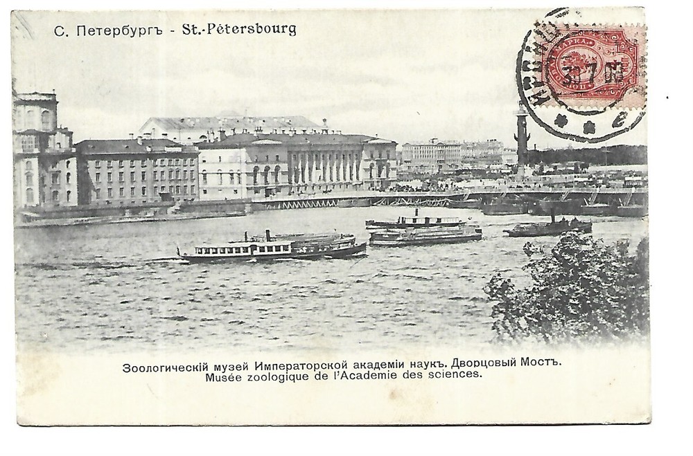 Russia Saint Petersburg Zoological Museum of the Academy of Sciences-image
