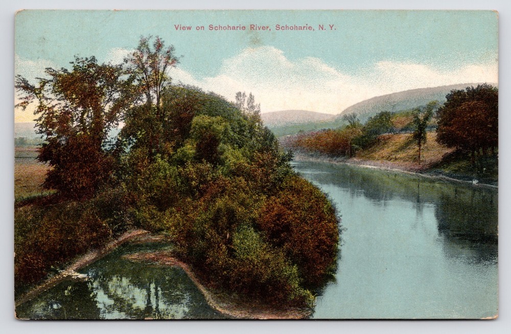 Scoharie New York NY Schoharie River Scenic Nature View Postcard c1908
