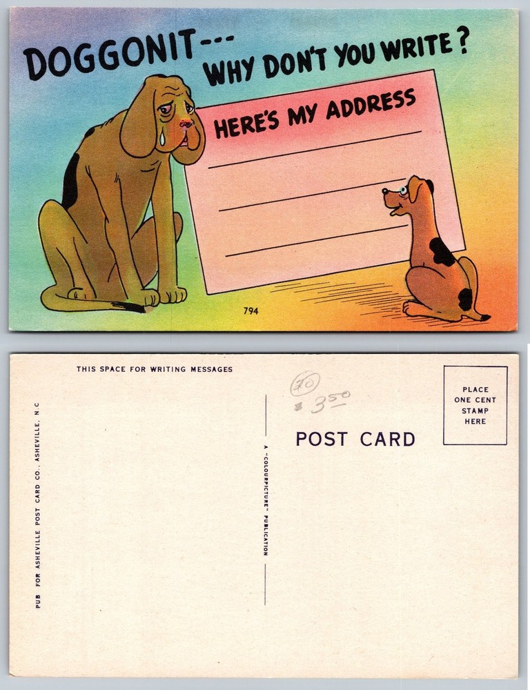 Vintage Comic Postcard Doggonit Why Don't You Write Sad Dog Cartoon