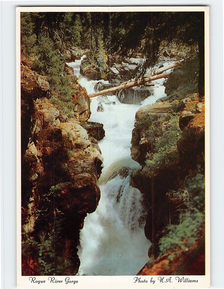 Postcard Rogue River Gorge on the Crater Lake Highway Oregon USA