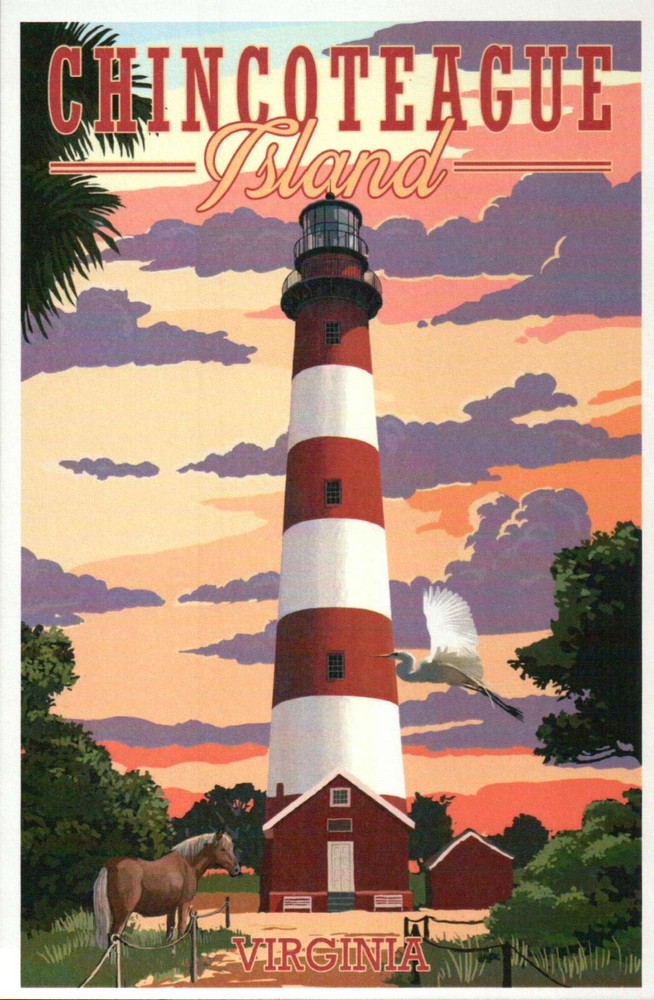 Chincoteague Island, Assateague Lighthouse Virginia VA, Horse, Bird --- Postcard