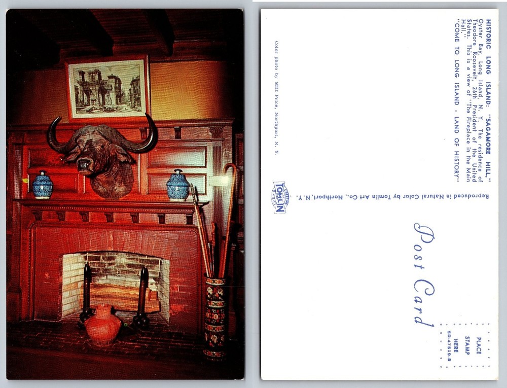 Sagamore Hill Theodore Roosevelt Fireplace Main Hall Oyster Bay NY Postcard