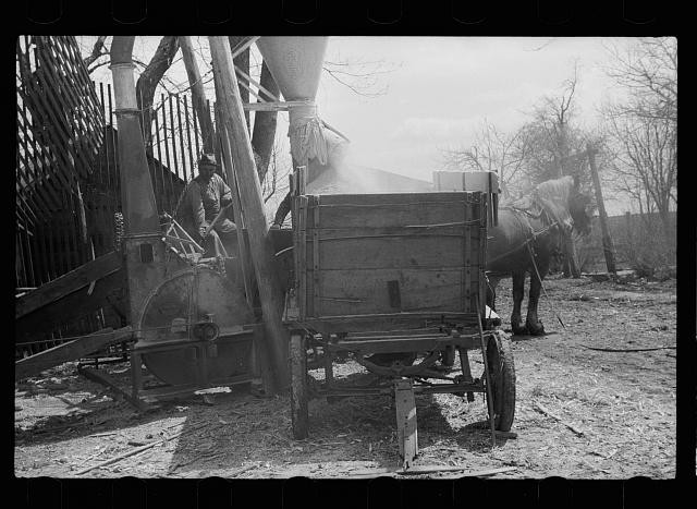 Photo:Grundy County Iowa 1940 Team of Horses Unharnessing Farm Scene