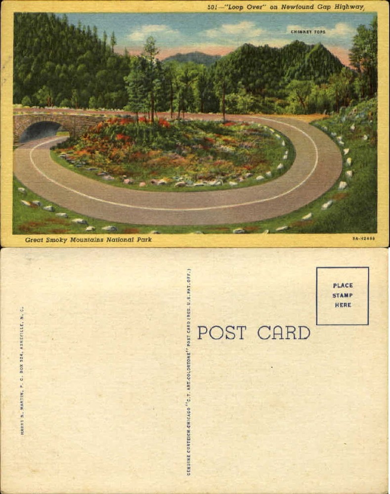 Loop Over Newfound Gap Highway Great Smoky Mtn Natl Park unused postcard