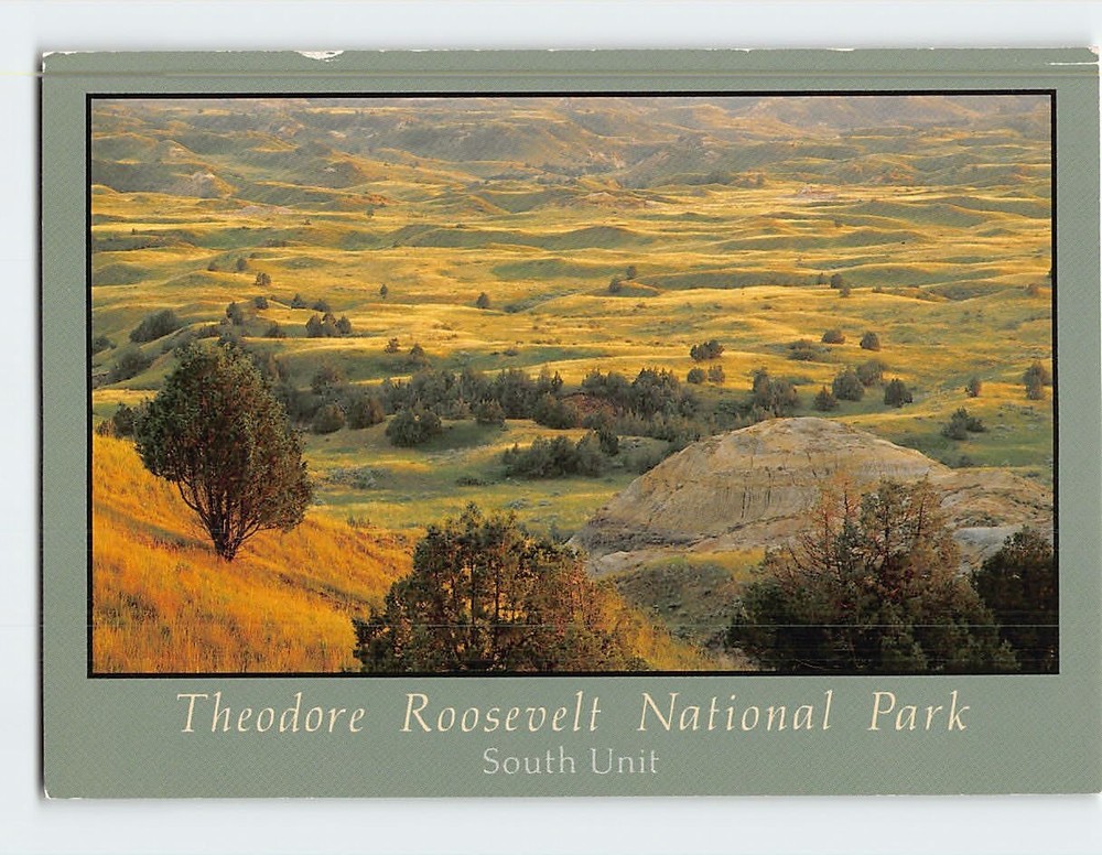 Postcard Theodore Roosevelt National Park North Dakota USA