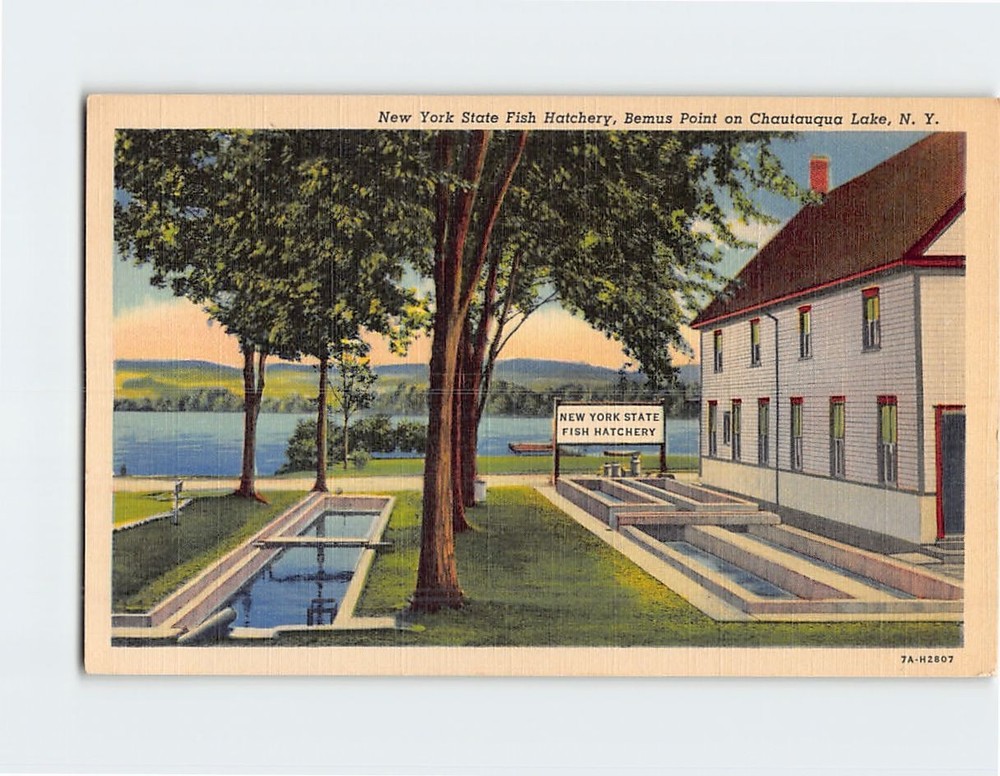 Postcard New York State Fish Hatchery on Chautauqua Lake Bemus Point NY USA
