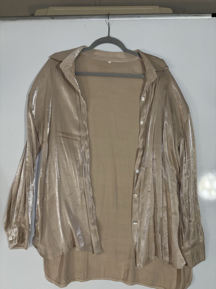 Champagne Sheer Metallic Button-Up Blouse