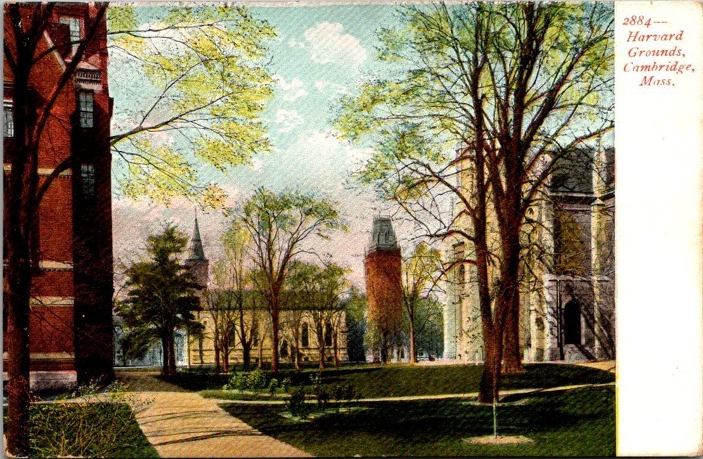 Early 1900s Harvard Grounds Cambridge MA Postcard Printed in Germany