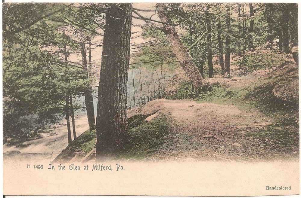 View in the Glen at Milford PA Postcard Rotograph