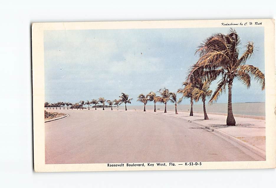 Postcard Roosevelt Boulevard Key West Florida USA