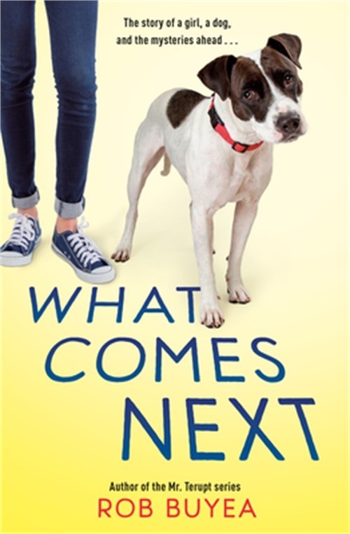 What Comes Next (Paperback or Softback)