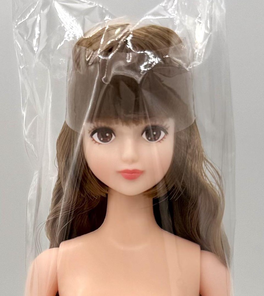 LICCA CASTLE 27cm Fashion Doll M4649 JENNY Friend SHION OOAK Fun Collectible