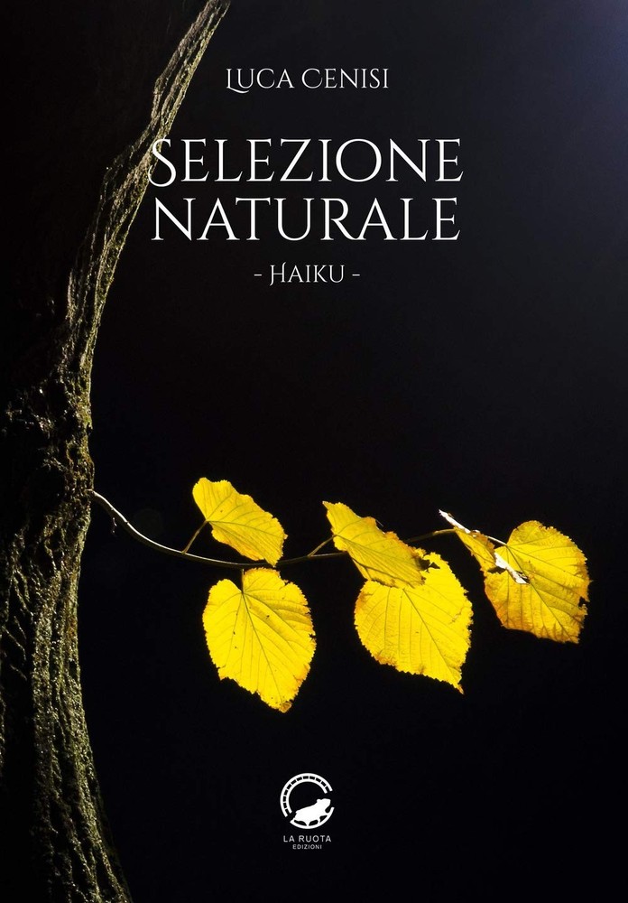 Luca Cenisi Selezione naturale (Paperback)Another great item from Rarewaves USA | Free delivery!