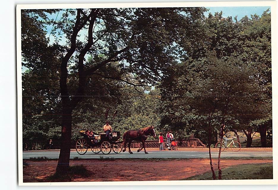 Postcard Horse-drawn Carriages Central Park New York City New York USA