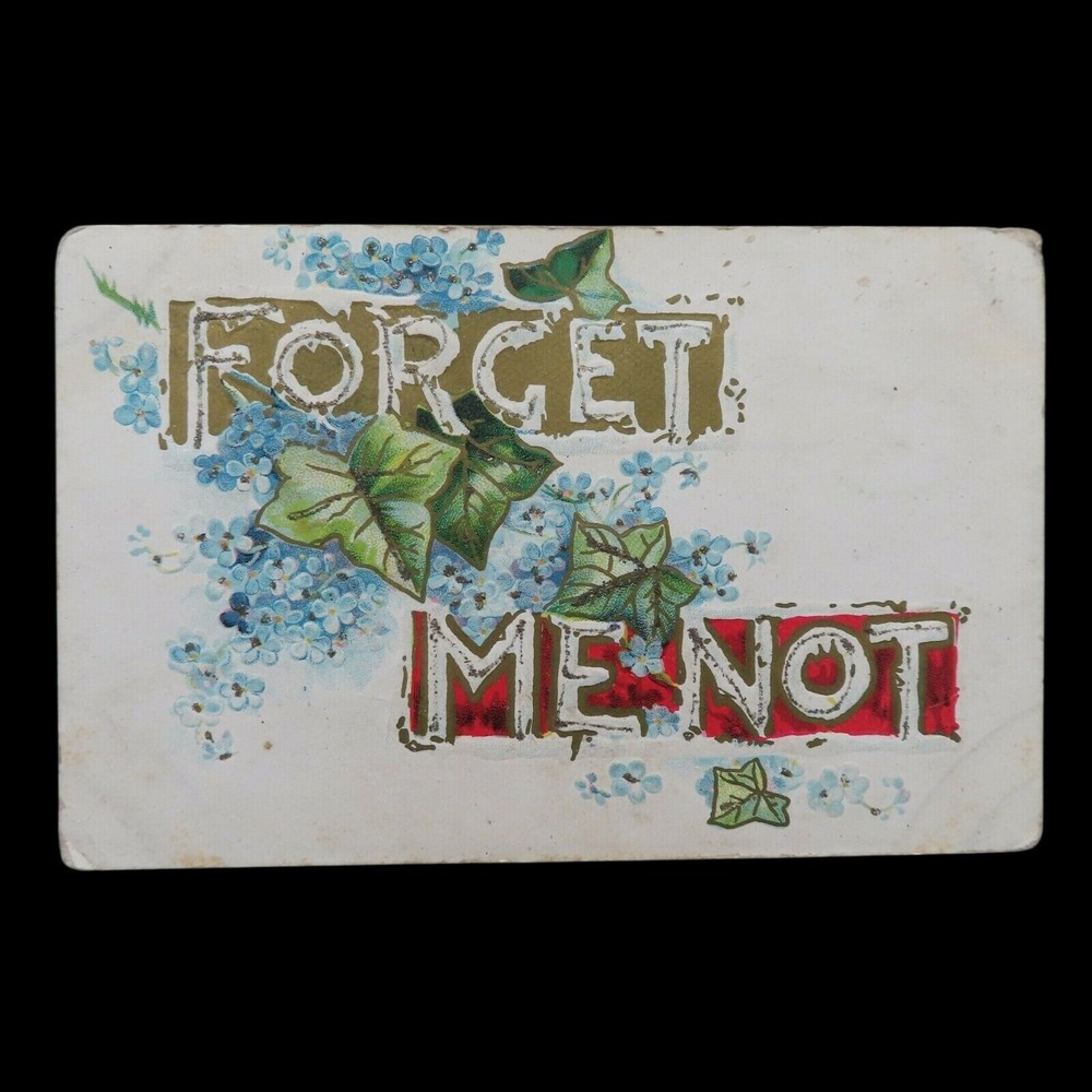 Forget Me Not Glittered Blue Flower Ivy Swag Antique Standard Postcard Writing