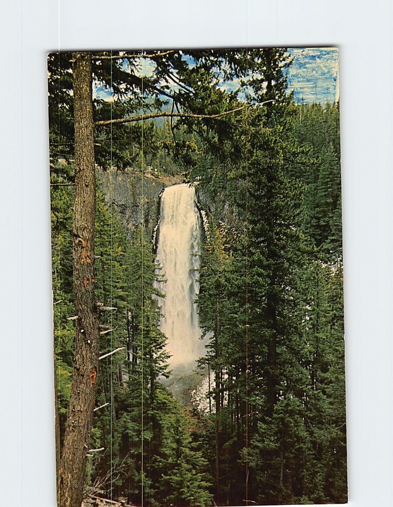 Postcard Salt Creek Falls Willamette Highway Oregon USA