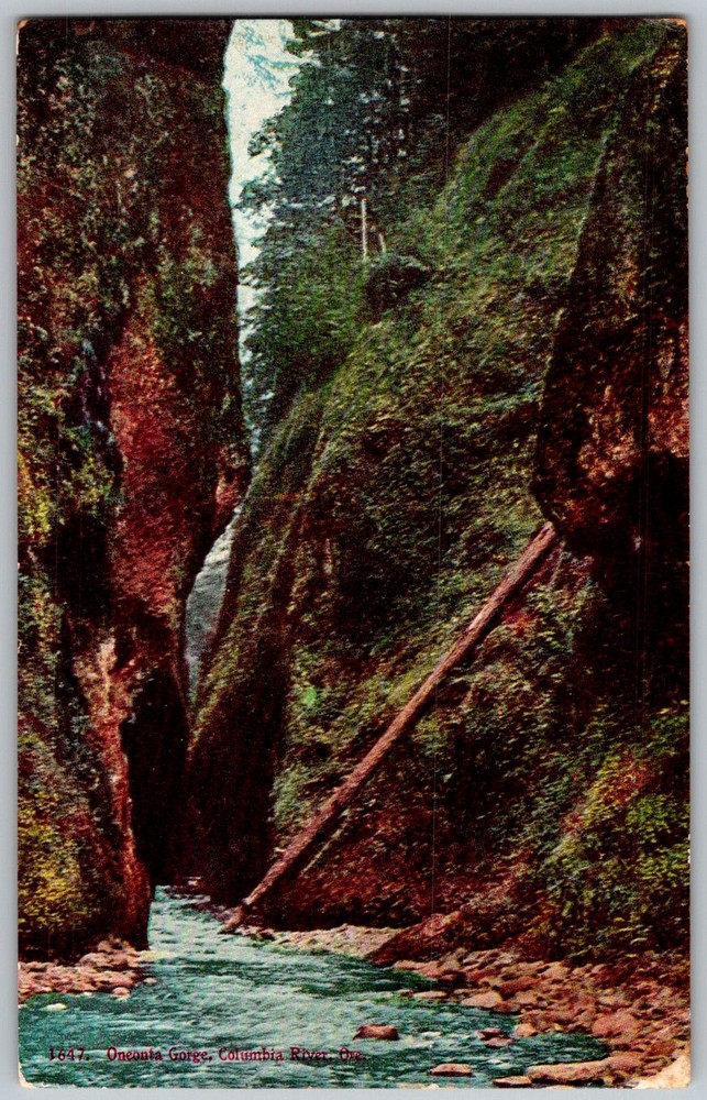 Antique Postcard Oneonta Gorge Columbia River Gorge, OR 1910s