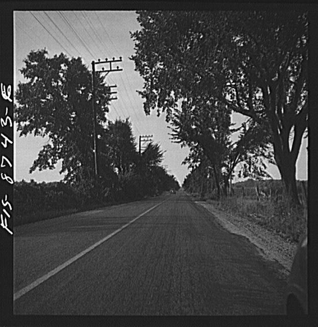 Photo:Tree-Lined Rural Road 1910s Utility Poles Asphalt Highway Landscape