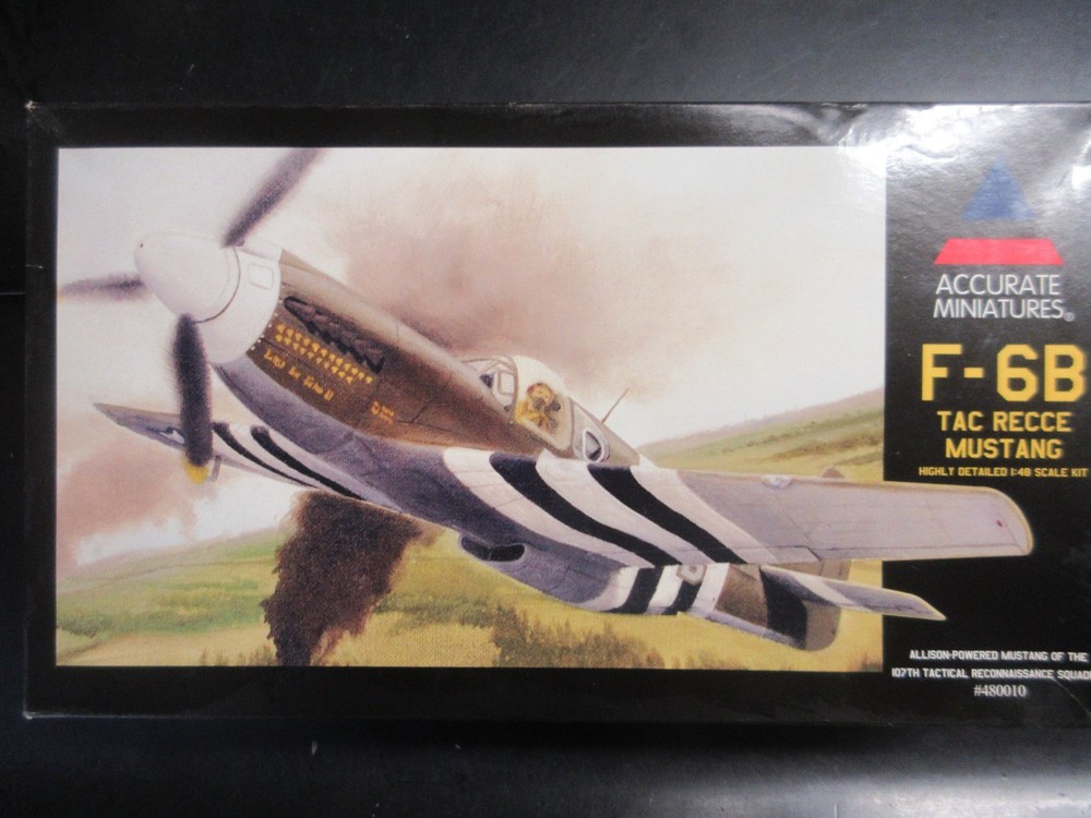 Accurate Miniatures 1/48 North American F-6B Tac Recce Mustnag  #480010-image