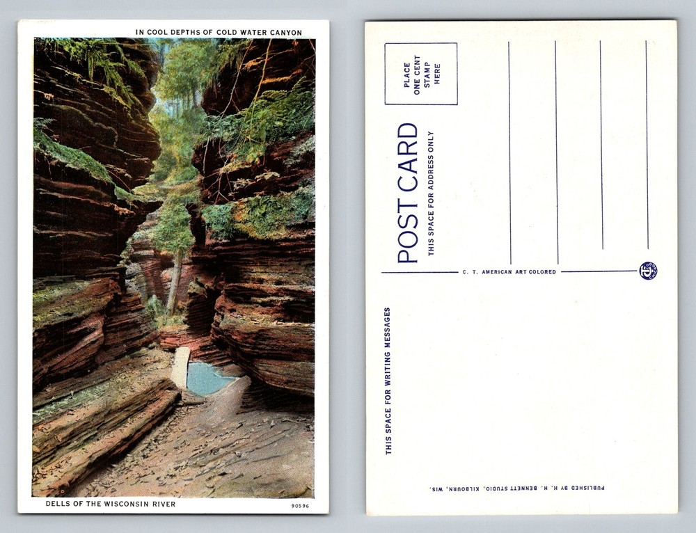 Dells of the Wisconsin River, WI-Wisconsin, Cold Water Canyon Vintage Postcard